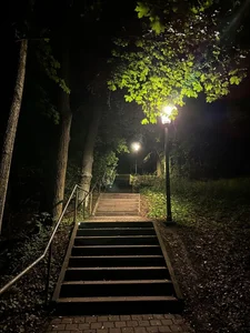 SonjaMonje Spring night Hình 2