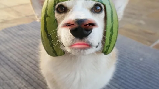 berrry_girl Collection of cute&fun photos xD slika 8