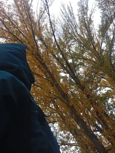 Zdjęcia Yerayyaya Public:  4