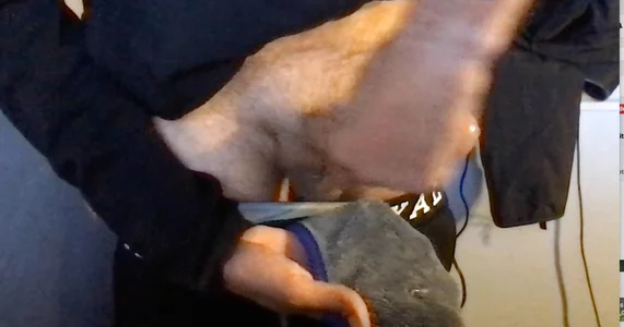 SinlessFreedom7 Public  รูป  2