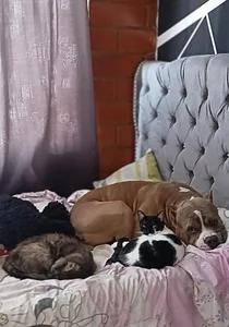 Public de samanta_xi  3 photos