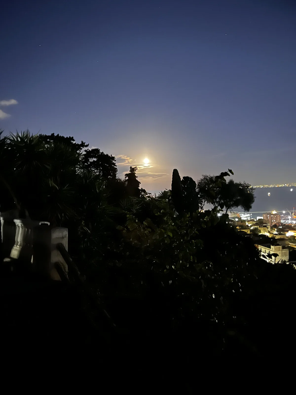 Ronald_coman27さんのトレンドな 463枚の写真