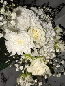 BeatriceBinoche 🌷 Kuva 2