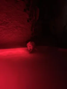 RIICOO09 about me Εικόνα 2