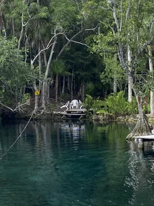 Public de OsvaldOo8  5 Imagens