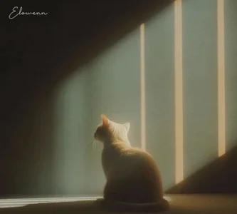 --102KymMiiss--Public图片 2