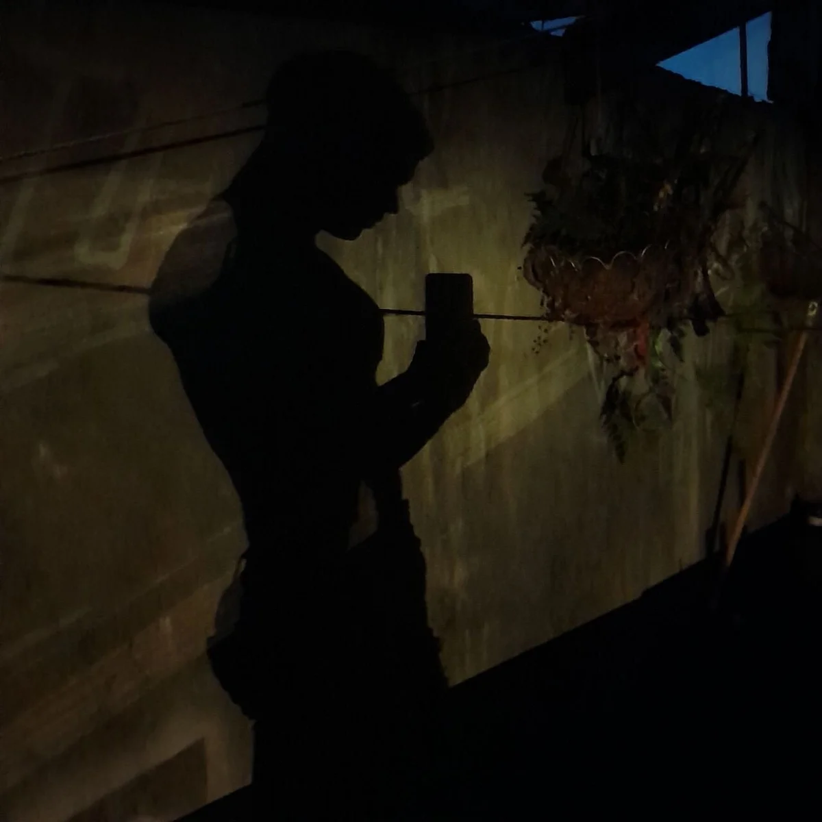 Трендове зображення  6127 NicolaiKarav