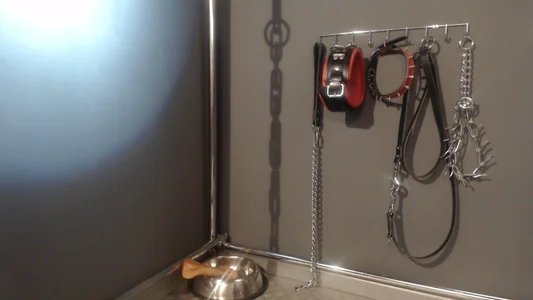 Kinky_Butterfly My toys Pic 2