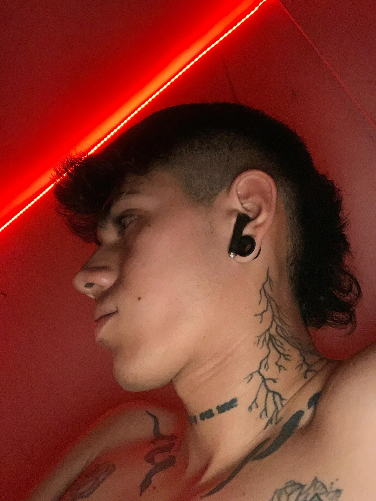 Tommy_valverde  188. kiemelt képe