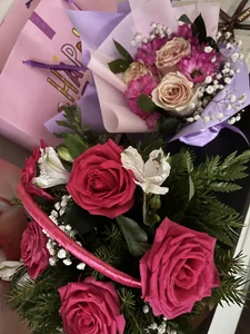 KateZip Public صورة واحدة|KateZip Public صورتان|KateZip Public  4 صور|KateZip Public  4 صورة