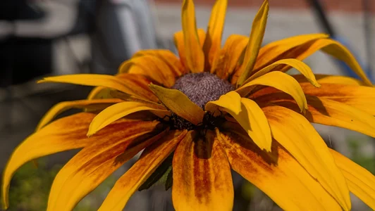 Bo0g: Nature photography ( 8 фото)