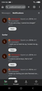 sissyindianboiReview and tips图片