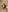 paola_katy_dicks's photo