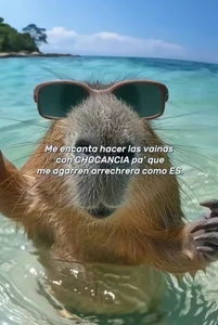 AlkalineCalmness Public Billede 2