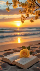 Public de AmeliaSt0ne  2 photos