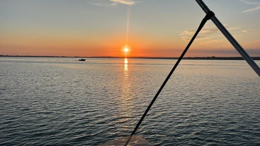 dadbod21 Public зображення 8