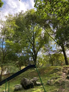 In my free time I enjoy nature 🍃🍂 od Im_miguel0  8 snímek