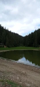 __MaryLee__のThe beauty of natureの 6枚の写真