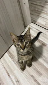 Nanami_19 ♥️🤭😋 사진 9