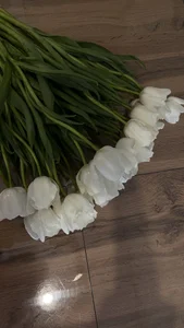 Public de Yummy_Yummy__  3 Imagens