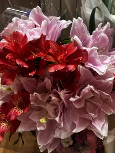 curvycatwow My b-day🎉I love flowers صورة واحدة|curvycatwow My b-day🎉I love flowers صورتان|curvycatwow My b-day🎉I love flowers  8 صور|curvycatwow My b-day🎉I love flowers  8 صورة