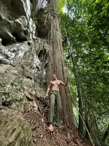 heilgarbest Rainforest Poză 3