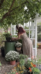 Alicia_Clark's 🌿 Natural Beauty & Warm Vibes ✨ Sex Photo 3