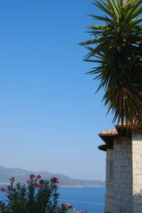 elisa_moon vacation зображення 7