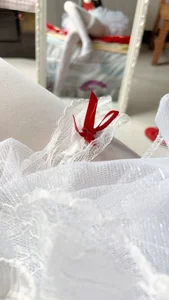 ShouSushi小白兔图片 4