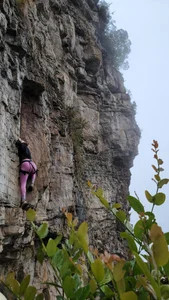 Gaby_7770💚 Nature lover 💚 Bild