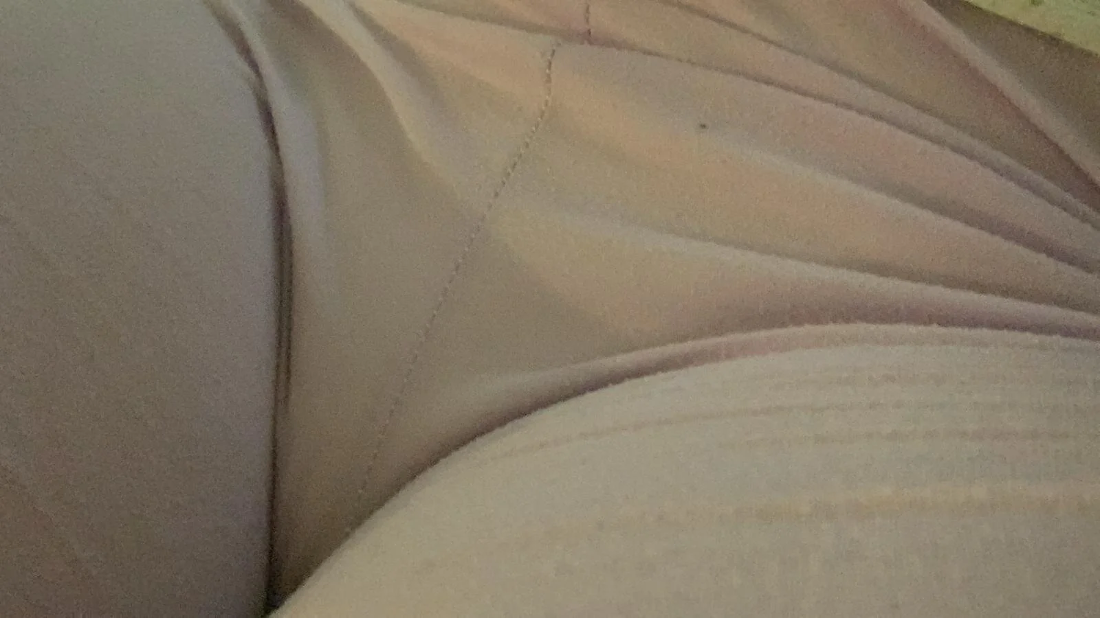 tigresayelleon69 - Photo 6