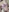 エッチな下着です💓透けてるのもあります🫣