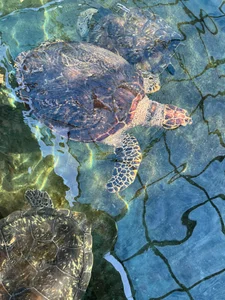 My trip for Santa Marta de stormyy_  5 photos