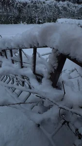 Zdjęcia JessicaJewells ❄️❄️❄️:  3