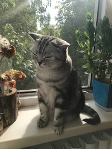 luna_berryy my little bun 😼 Pic 3