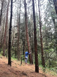 b3k_afrodict Connecting with nature Pic 9