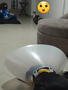 Babba_yagga a beautiful and brave angel!! Pic 2