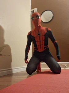 smdog1 spideman  7. fénykép