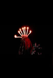 WHY CAN THE BODIES FLY?