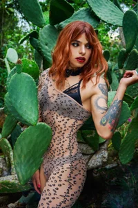 Alexajhonss🌷🌷图片 3