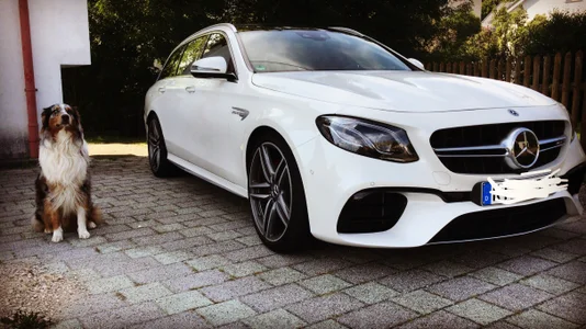 GermanBigDream: Public ( 3 фото)