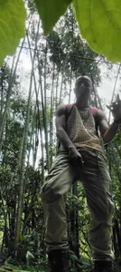 GeorgeZarrate George 사진 3