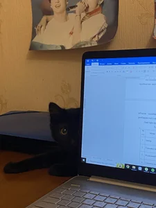 My pets✨ od SugarMuse  4 snímek