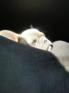 HotTiffani vacation Pic 5