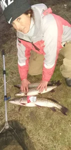 CathySuns Моё хобби 사진