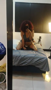 Dahlia_rosseePublic Bild