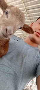 iRusx Public Poză 4