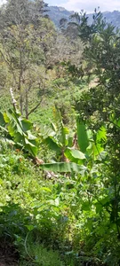 GabyThoms nature and peace Pic 3