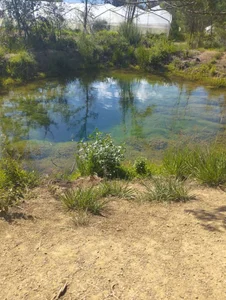 Julieta_Wall_ my rest days VILLA DE LEYVA BOYACA COLOMBIA Pic 2