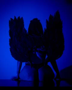 Black Angel od martina_foxy_  5 snímek